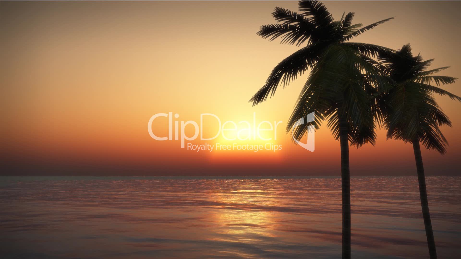 (1070) Looping Tropical Island Sunset with Palms and Ocean Surf HD